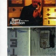 Barry Adamson : What It Means